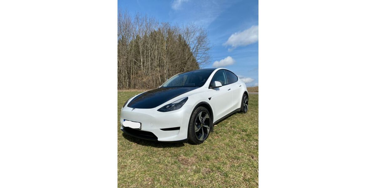 Tesla Model Y 74.000 km 29.999 &euro; Rimbach 64668