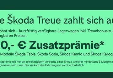 Skoda Kamiq 4.500 km 22.980 &euro; Frankfurt 60435