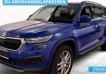 Skoda Kodiaq 118.694 km 25.790 &euro; Frankfurt 60596