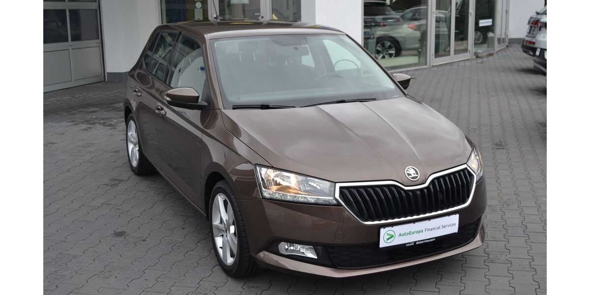 Skoda Fabia 76.000 km 12.980 &euro; Babenhausen 64832