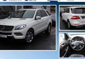 Mercedes-Benz ML 350 195.000 km 20.999 &euro; Biebesheim am Rhein 64584