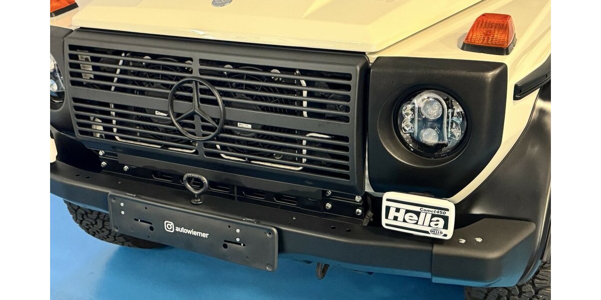 Mercedes-Benz G 280 CDI Professional BF-Goodrich ORC Dachtr. 184.500 km 68.800 &euro; Dreieich 63303