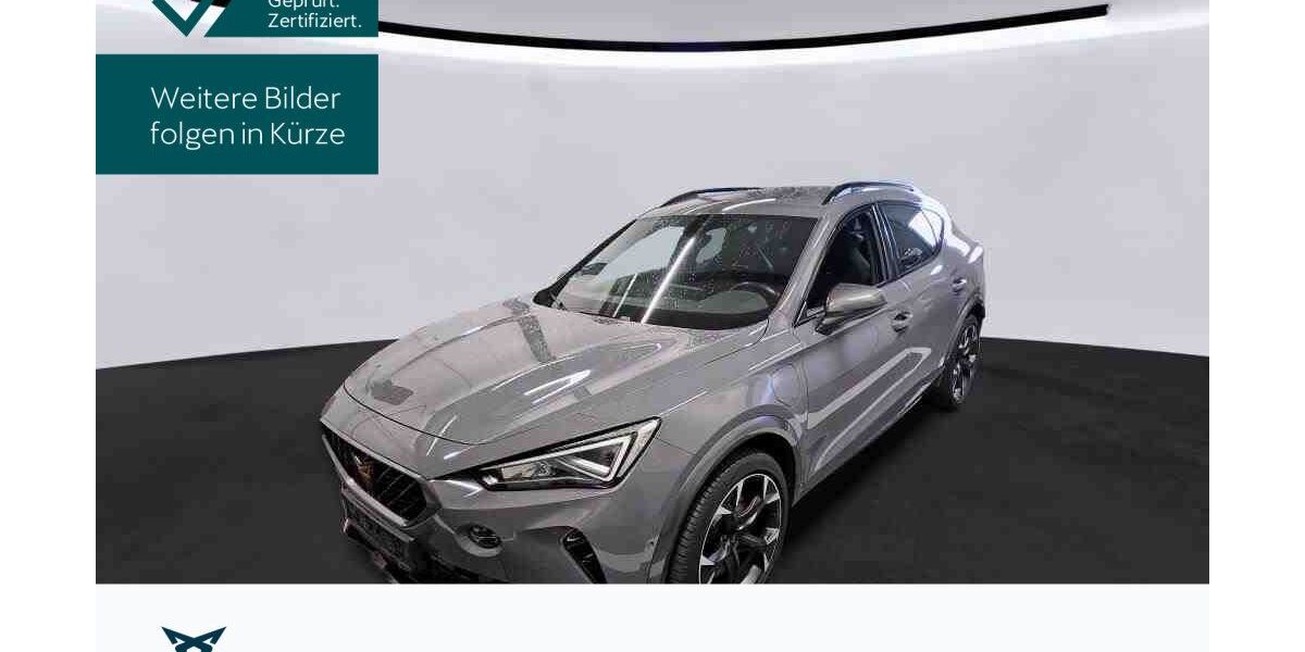 Cupra Formentor 54.804 km 25.730 &euro; Hofheim-Diedenbergen 65719