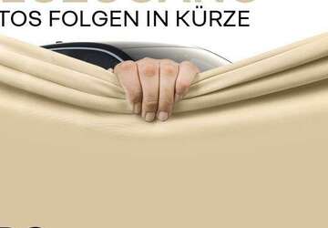 Renault ZOE 30.836 km 14.390 &euro; Frankfurt / Main 60314