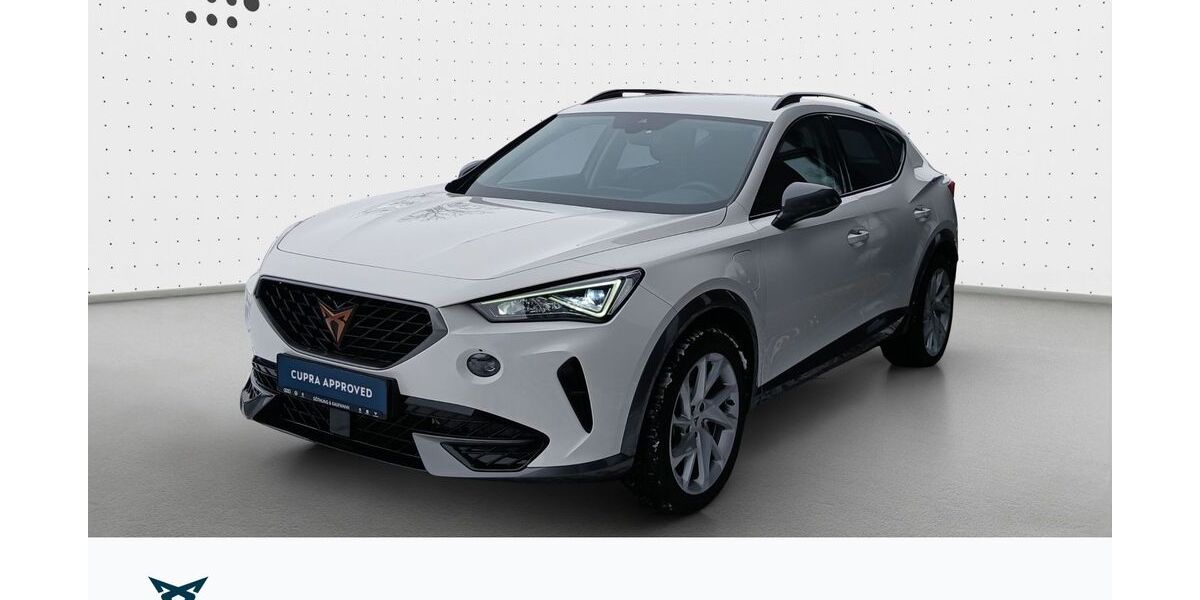 Cupra Formentor 32.435 km 22.480 &euro; Hofheim-Diedenbergen 65719