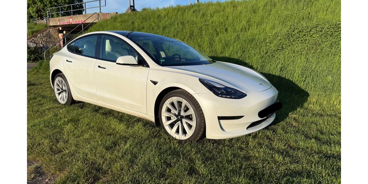 Tesla Model 3 141.000 km 27.550 &euro; Frankfurt 60437