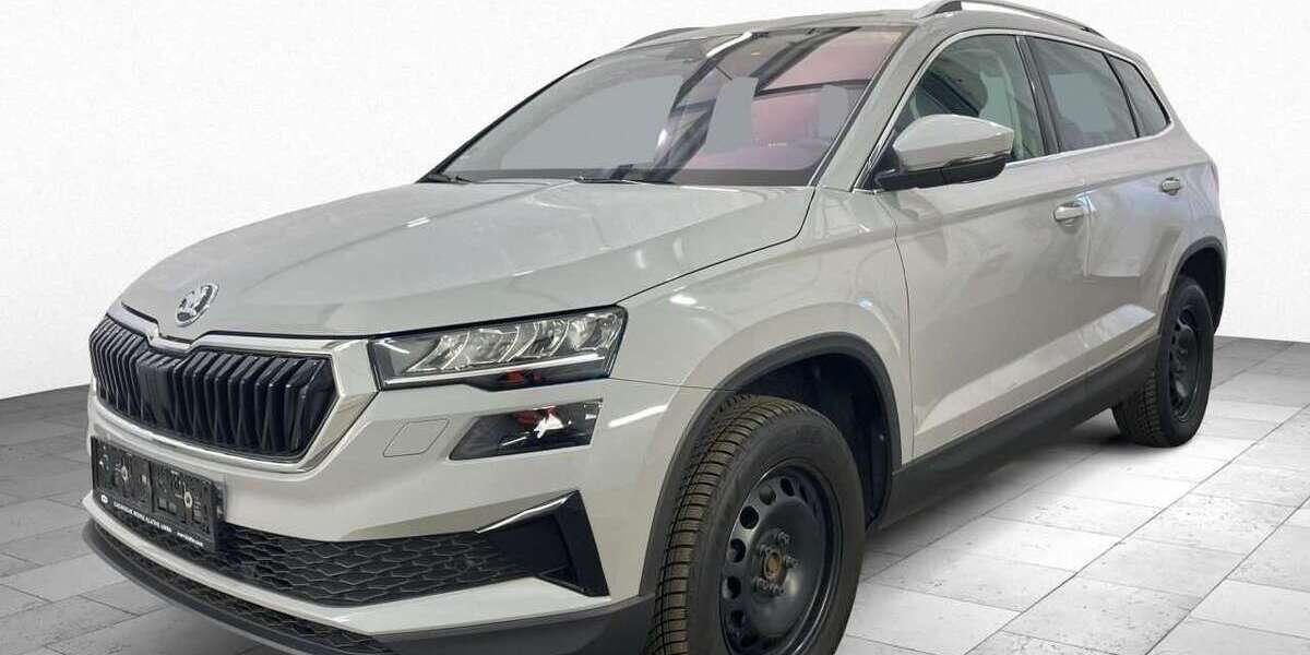 Skoda Karoq 164.802 km 19.997 &euro; Frankfurt 60596