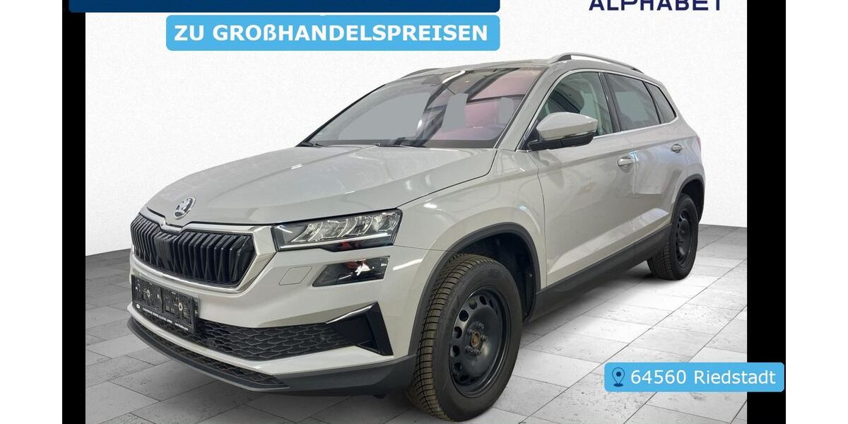 Skoda Karoq 164.802 km 19.997 &euro; Frankfurt 60596