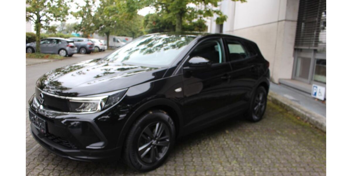 Opel Grandland (X) 96.000 km 19.300 &euro; Rüsselsheim 65428