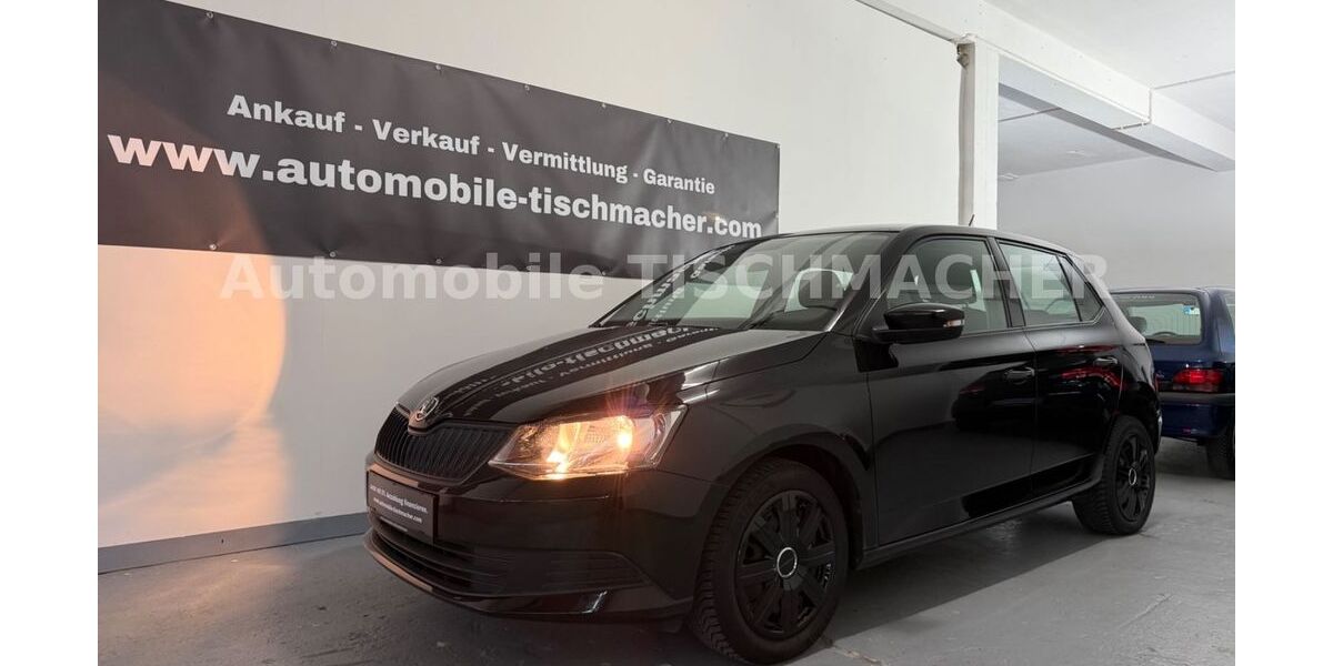 Skoda Fabia 67.871 km 9.100 &euro; Fürth 64658