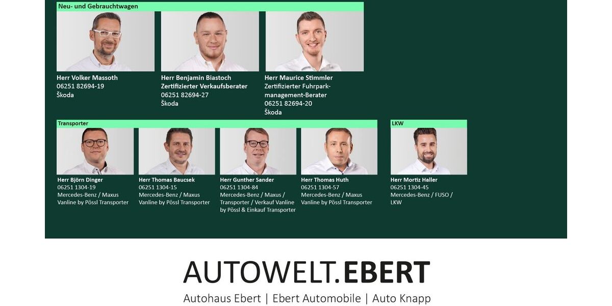 Skoda Enyaq 51.200 km 24.690 &euro; Bensheim 64625