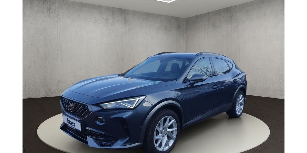 Cupra Formentor 49.514 km 22.800 &euro; Offenbach 63075