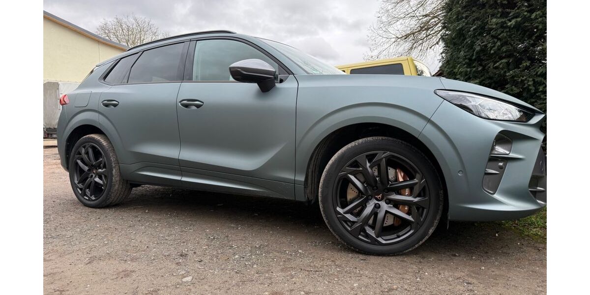 Cupra Terramar 23.000 km 39.999 &euro; Pfungstadt 64319