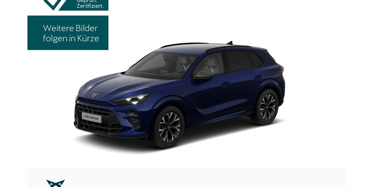 Cupra Terramar 26.761 km 32.630 &euro; Hofheim-Diedenbergen 65719