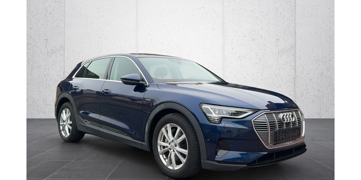 Audi e-tron 75.780 km 26.500 &euro; Fischbachtal 64405