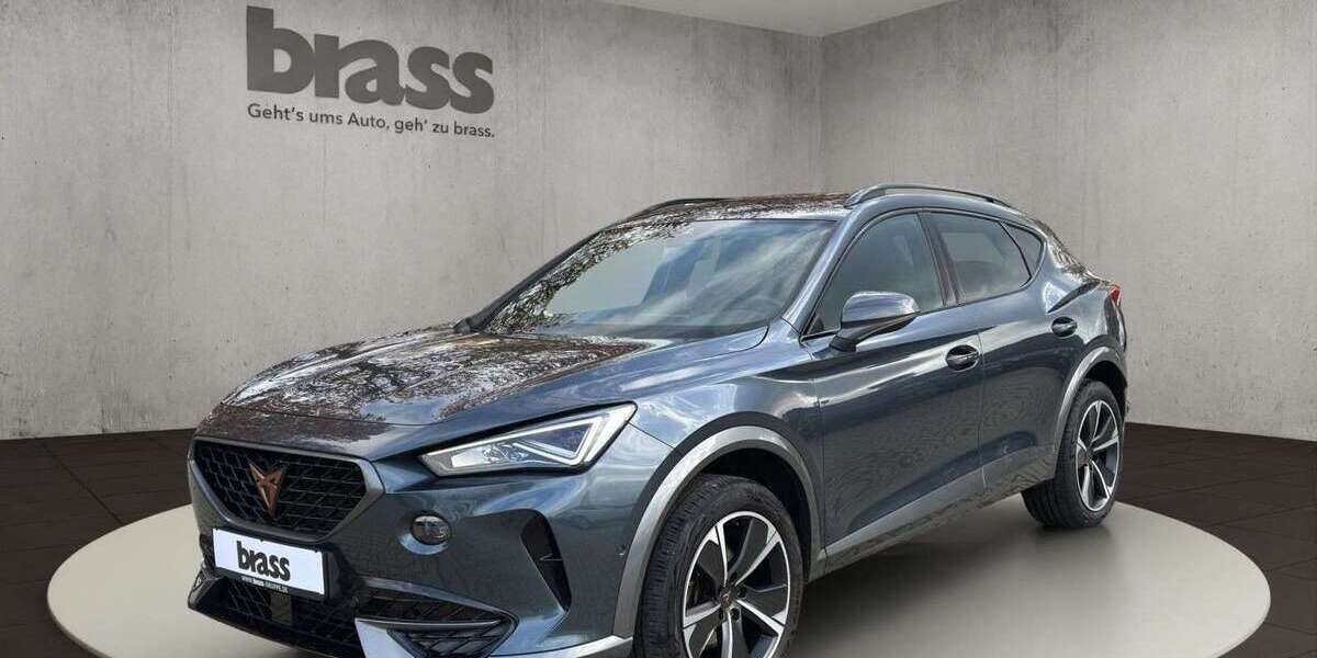 Cupra Formentor 78.800 km 23.480 &euro; Frankfurt-Rödelheim 60488