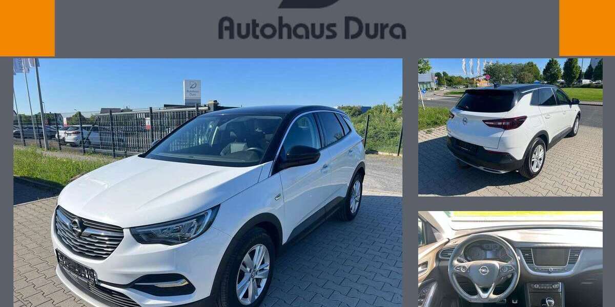 Opel Grandland X 113.500 km 16.900 &euro; Rüsselsheim 65428