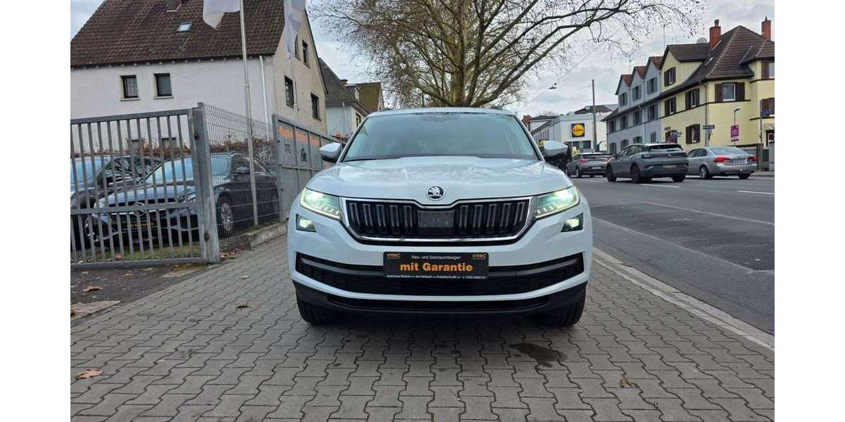 Skoda Kodiaq 230.000 km 17.950 &euro; Offenbach 63071
