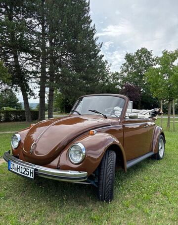 Gebrauchte VW Käfer