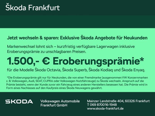 Skoda Enyaq 1.205 km 53.980 &euro; Frankfurt 60435