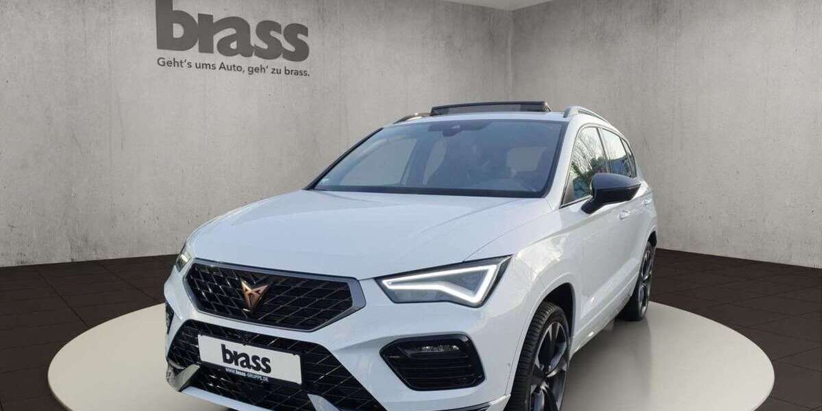 Cupra Ateca 18.600 km 37.480 &euro; Darmstadt 64293