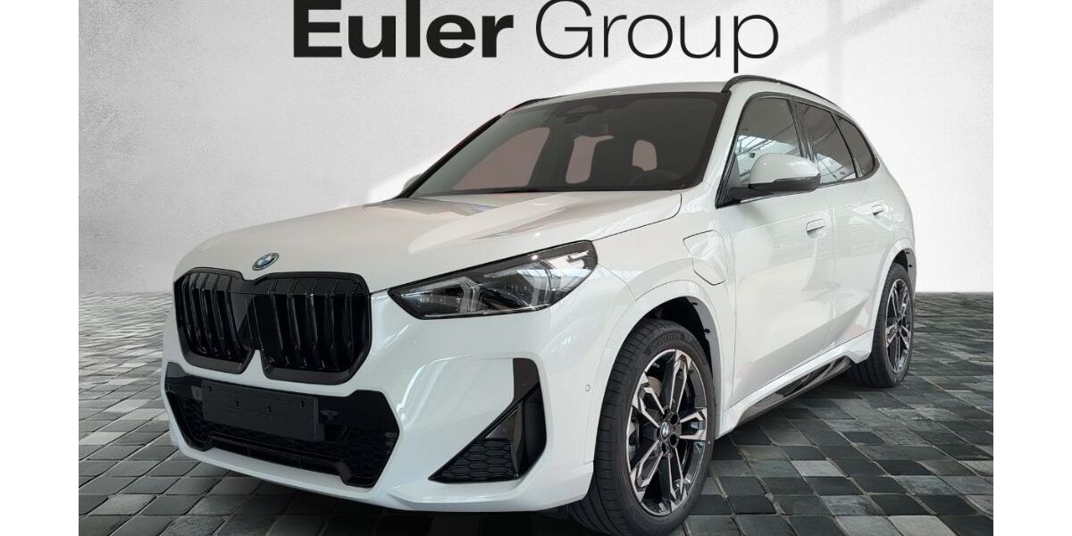 BMW X1 1.101 km 60.499 &euro; Frankfurt am Main 60435