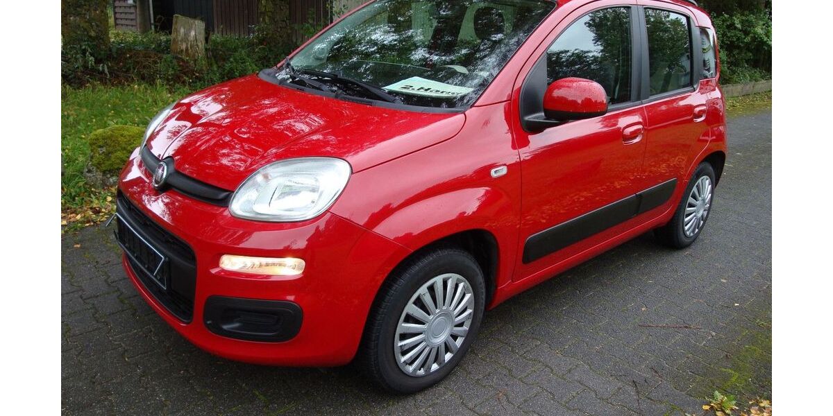 Fiat New Panda 49.000 km 9.799 &euro; Lorsch 64653