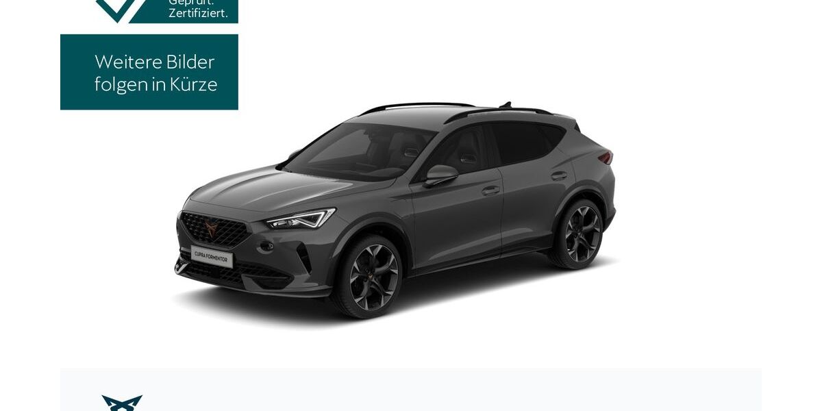 Cupra Formentor 36.644 km 29.430 &euro; Hofheim-Diedenbergen 65719