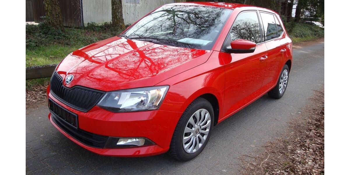 Skoda Fabia 89.100 km 10.000 &euro; Lorsch 64653