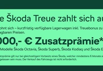 Skoda Octavia 12.500 km 40.480 &euro; Frankfurt 60435