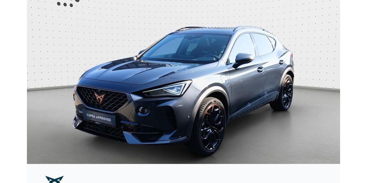 Cupra Formentor 50.947 km 29.990 &euro; Hofheim-Diedenbergen 65719