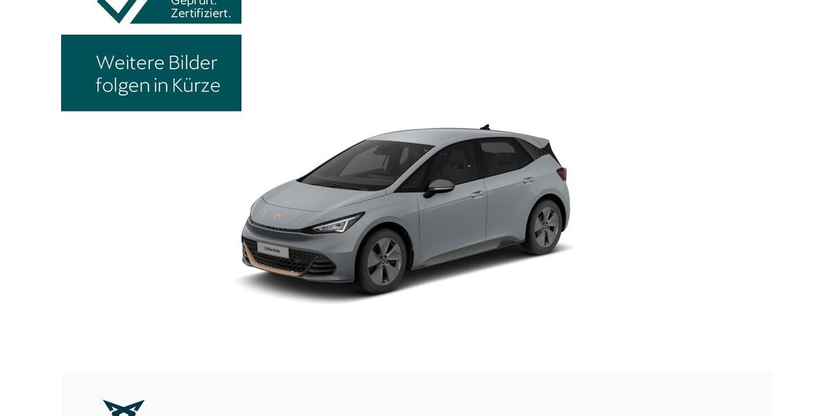 Cupra Born 24.296 km 24.430 &euro; Hofheim-Diedenbergen 65719