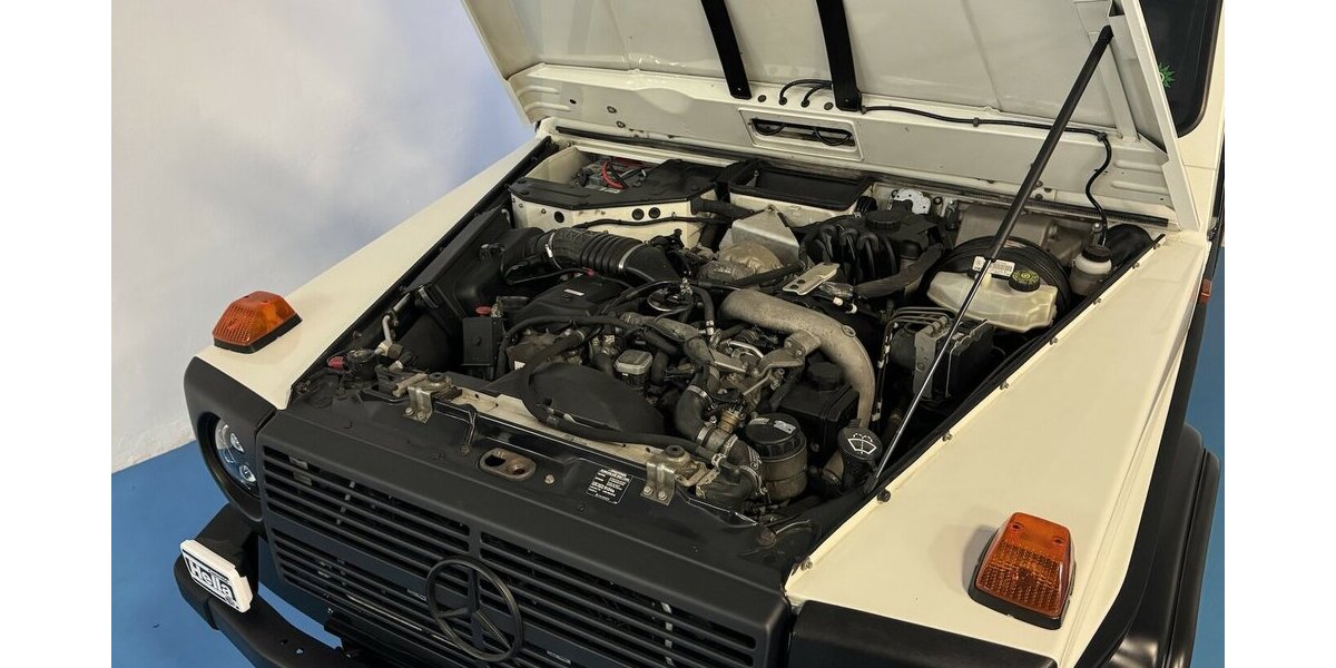Mercedes-Benz G 280 CDI Professional BF-Goodrich ORC Dachtr. 184.500 km 68.800 &euro; Dreieich 63303