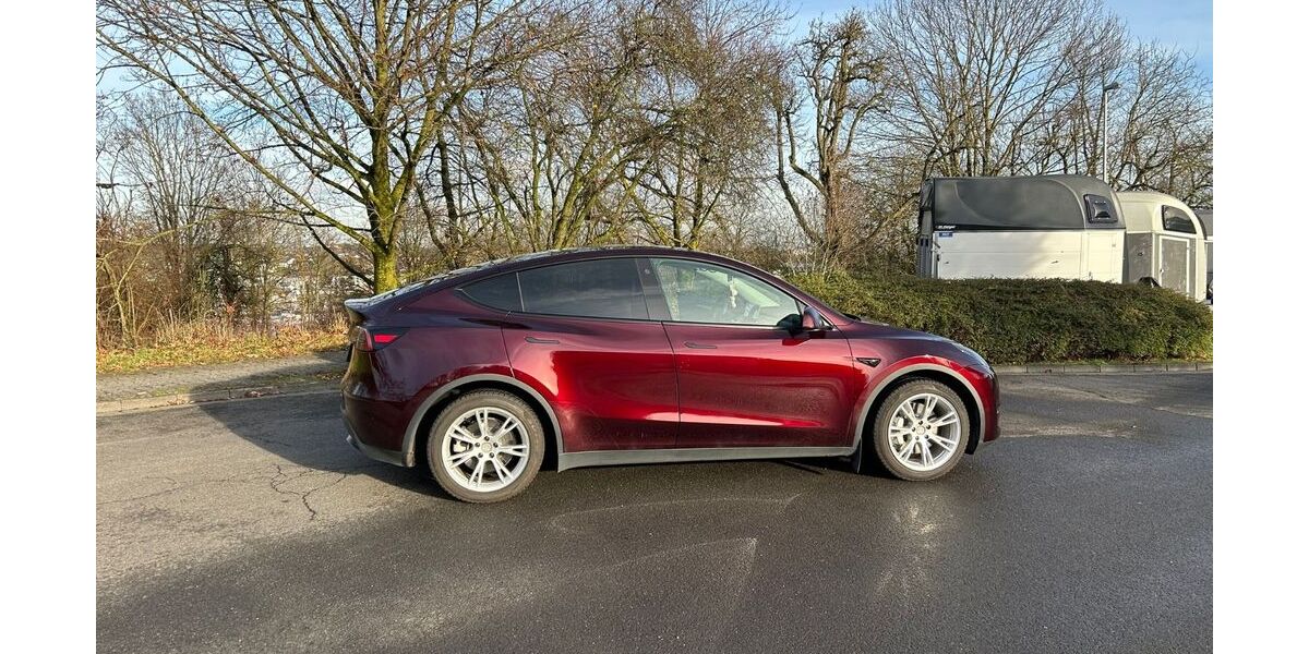 Tesla Model Y 27.000 km 37.500 &euro; Hattersheim am Main 65795